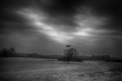 I miejsce w kategorii Bocian biały - Marek Bednarz