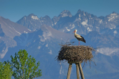 Andrzej Śliwiński - Tatry