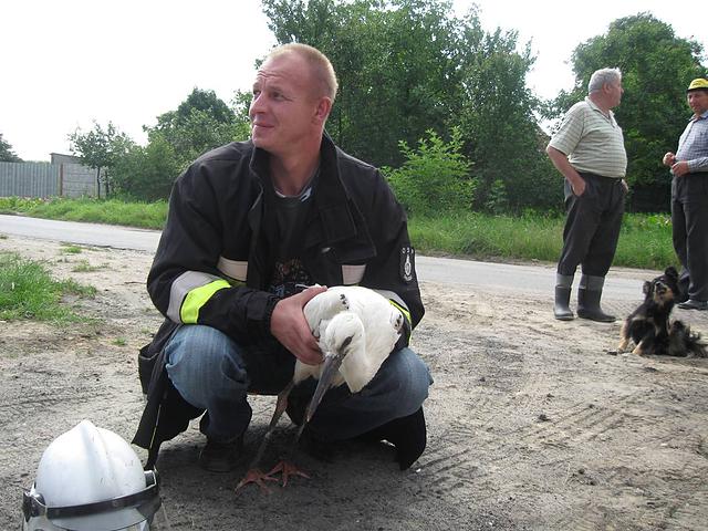 fot. Gimnazjum nr 1 w Koluszkach