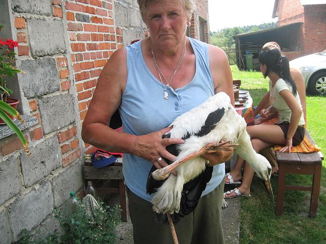 fot. Zespół Szkół w Wielowsi