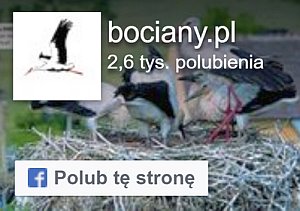 Bociany.pl Facebook